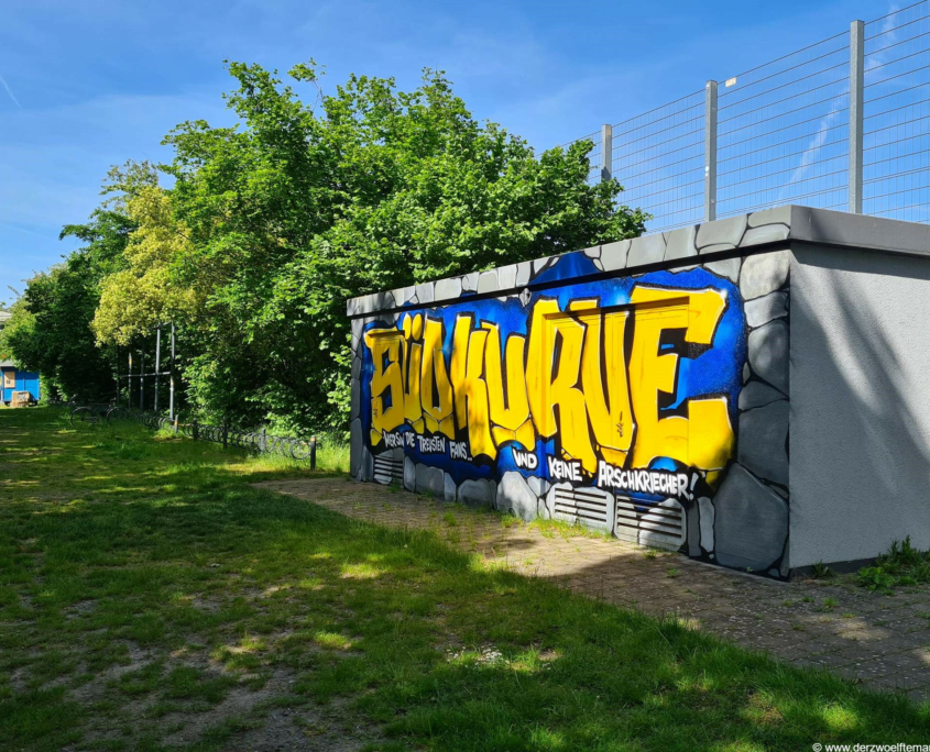 EintrachtBraunschweig110D12M