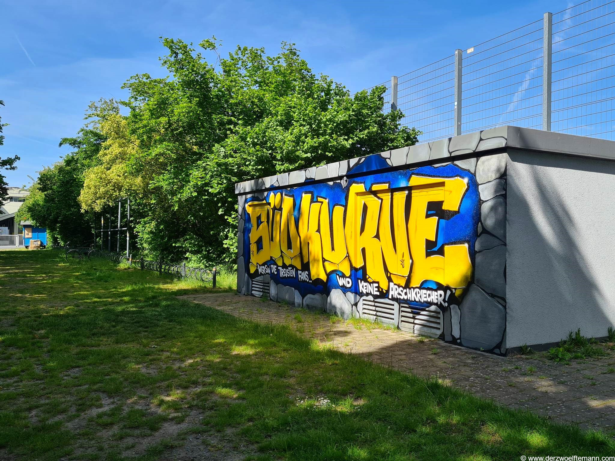 EintrachtBraunschweig110D12M
