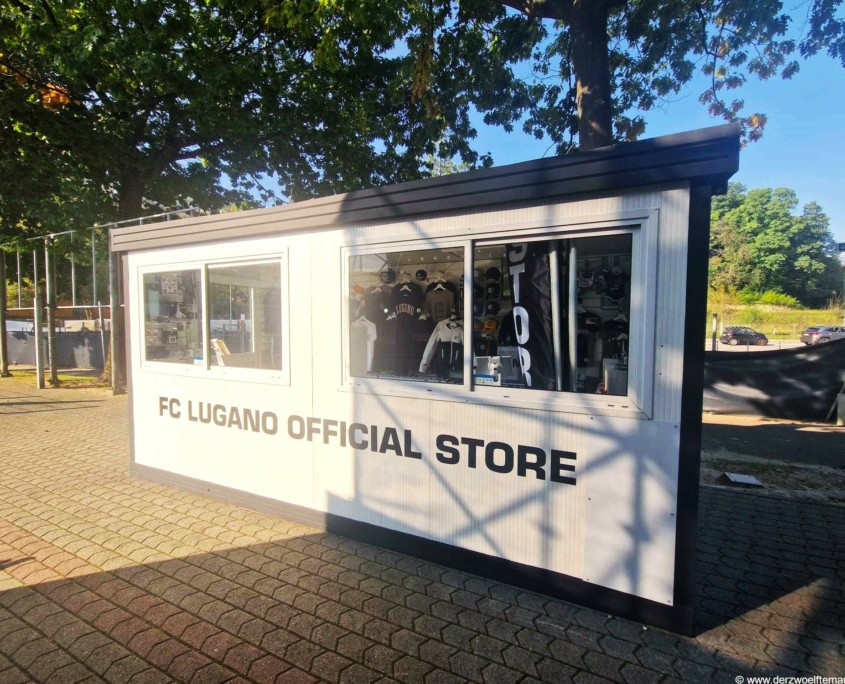 Lugano248D12M