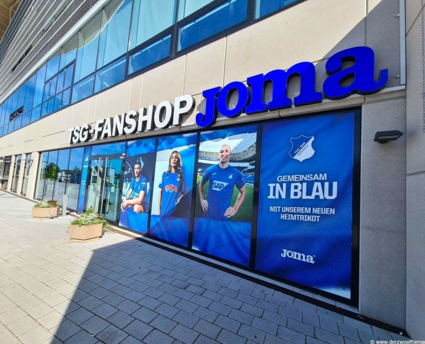 TSG1899Hoffenheim199D12M