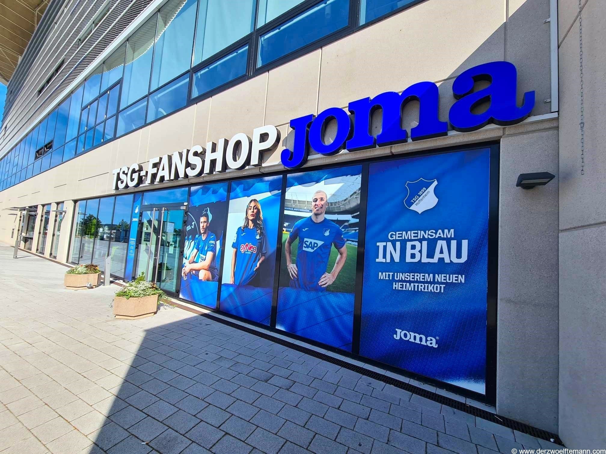 TSG1899Hoffenheim199D12M